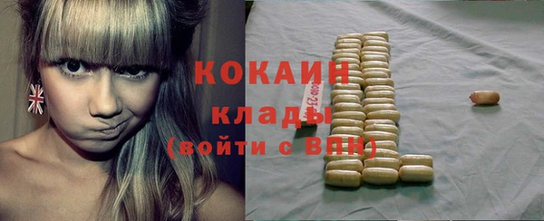 индика Белоозёрский