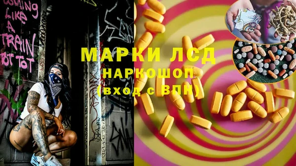 индика Белоозёрский