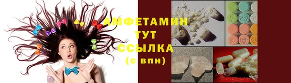 индика Белоозёрский