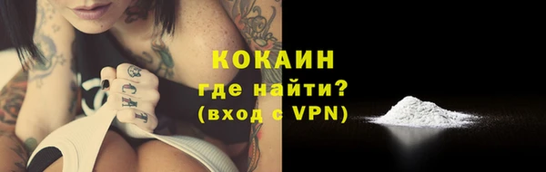 гашик Белокуриха