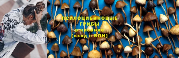 индика Белоозёрский