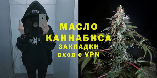 индика Белоозёрский